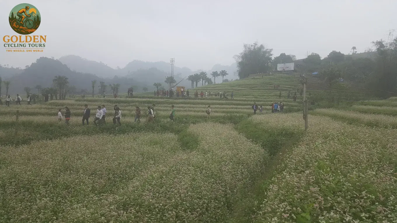 3-Day Thai Nguyen Backroad Cycling Tour: Ban Ten, Tea Hills & Nui Coc